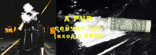 ECSTASY Козельск