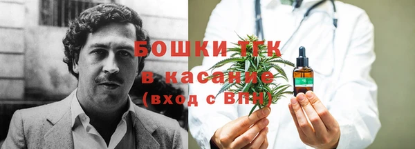 гашик Костерёво