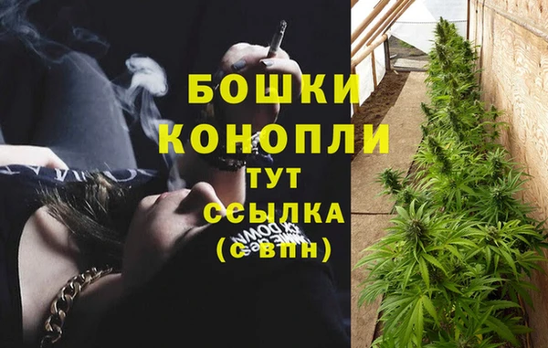 ECSTASY Козельск