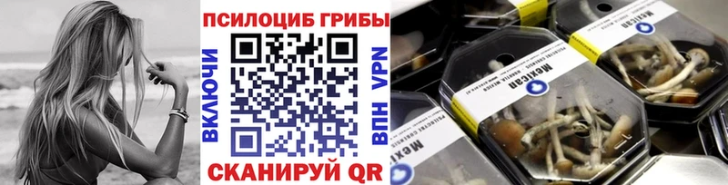 Купить закладки  Уяр  Галлюциногенные грибы Magic Shrooms 